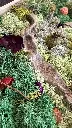 WhatsApp Image 2026-09-20 at 12.02.01.webp