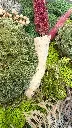 jhjjh.webp