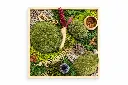 lg.webp
