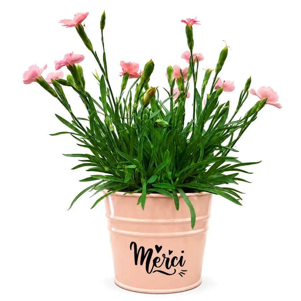 Pot fleuri  "Merci”