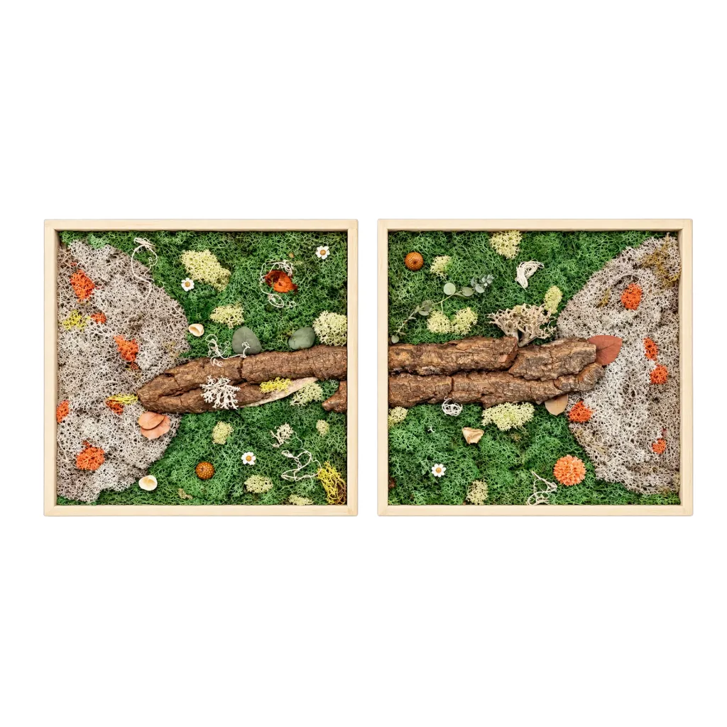 Duo de cadres végétaux