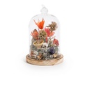 Cloche d'automne
