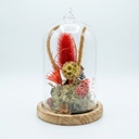 Cloche d'automne - grand format