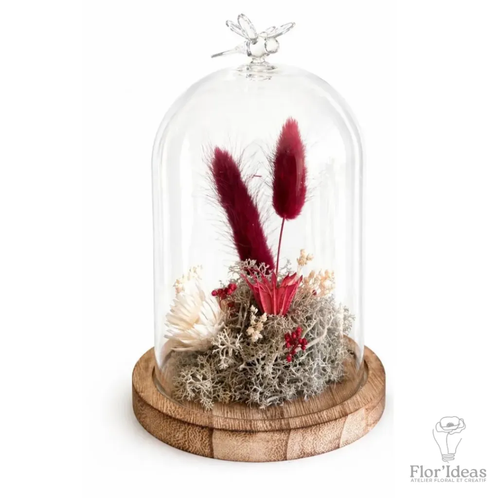 Cloche Jardin d'hiver